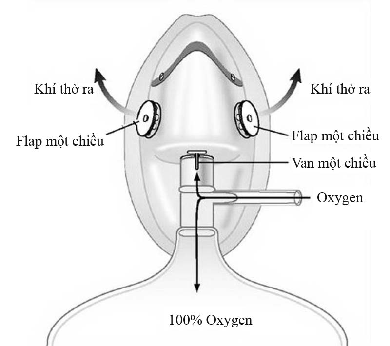 Cấu tạo chung của các loại ống thở oxy.